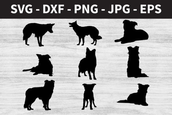Border Collie Dog Silhouettes