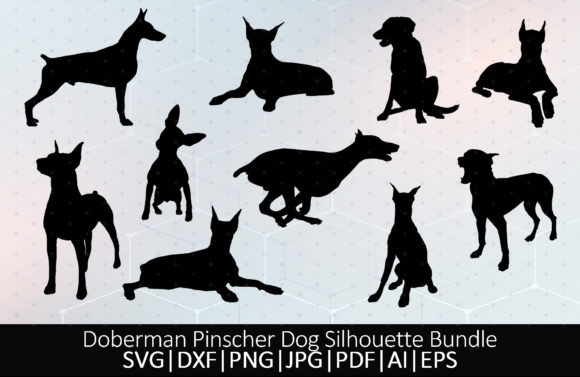 Doberman Pinscher Dog