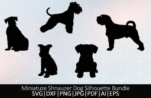 Miniature Shnauzer Dog