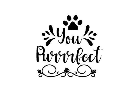 You Purrrfect